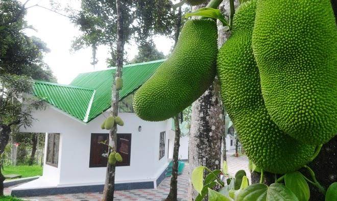 Misty Lake Resorts Image