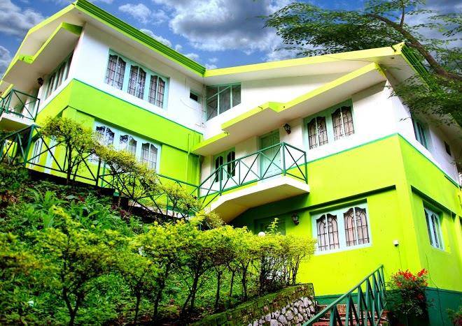 Single tree resort