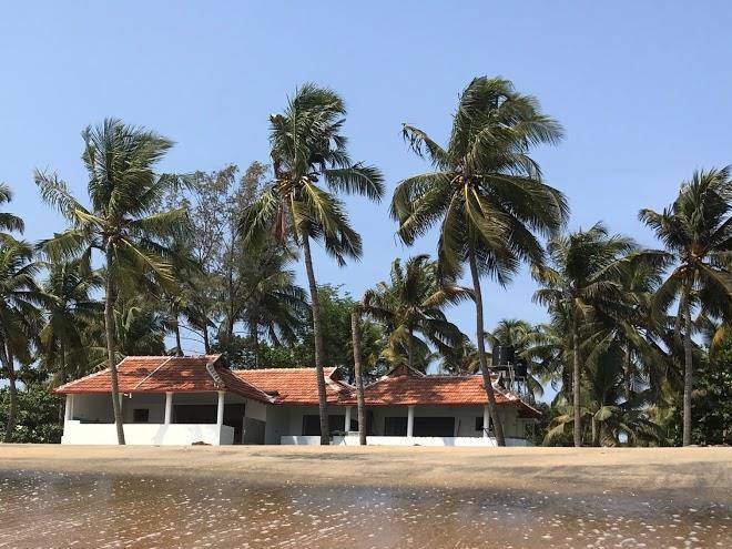 Gabi On The Sea Image