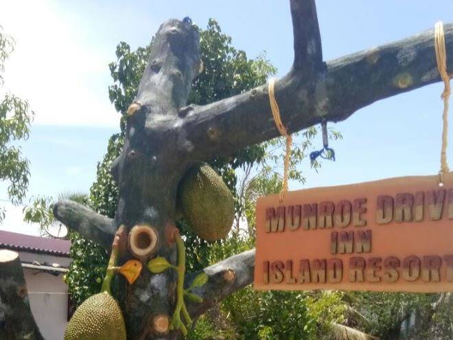 Munroe drive inn island