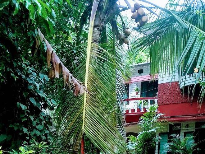 Sourabham homestay