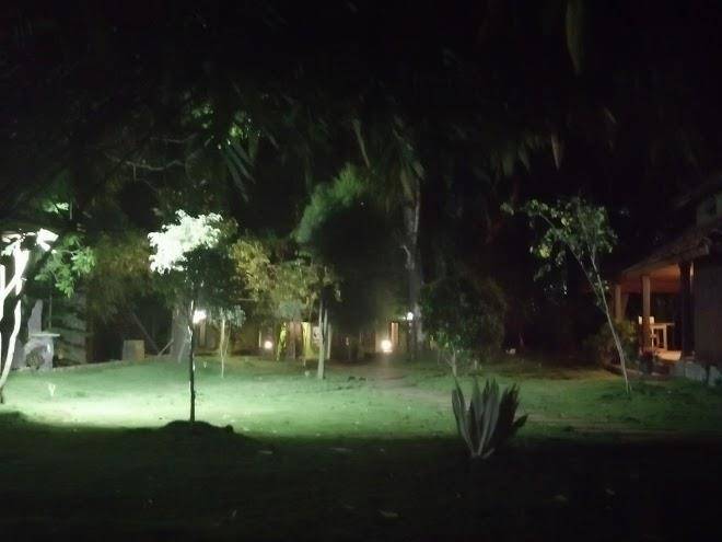 Vattakkuny wild orchid resort
