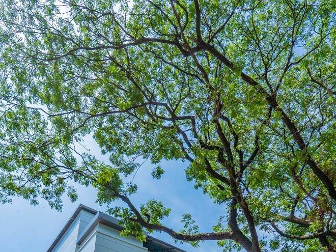 Hotel Rajadhani Image