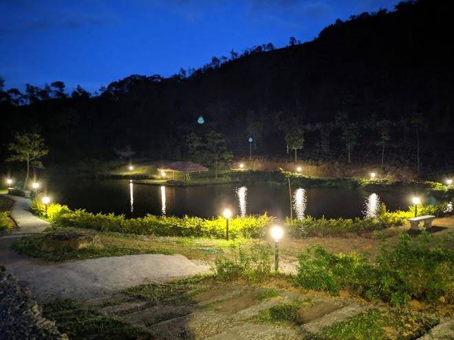 Daffodils garden resort