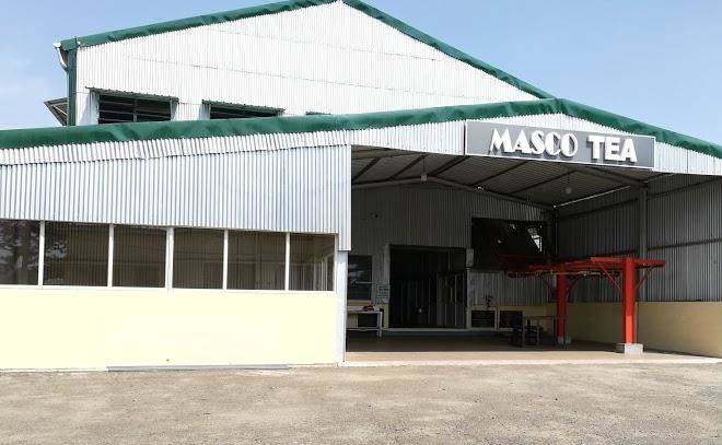 Masco tea factory