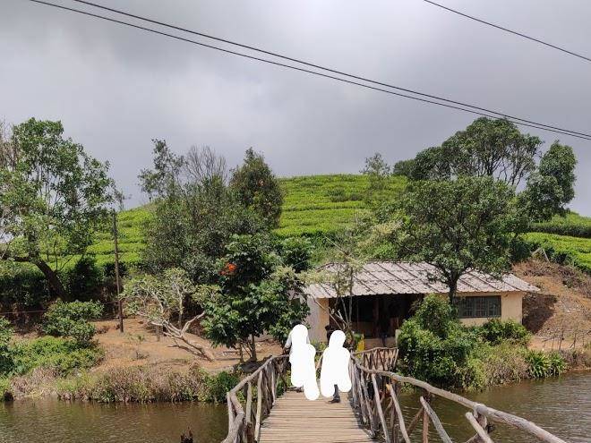 Winter Green Vagamon Image
