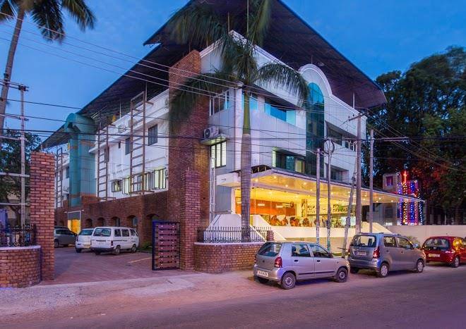 Treebo Trend Adrak Image