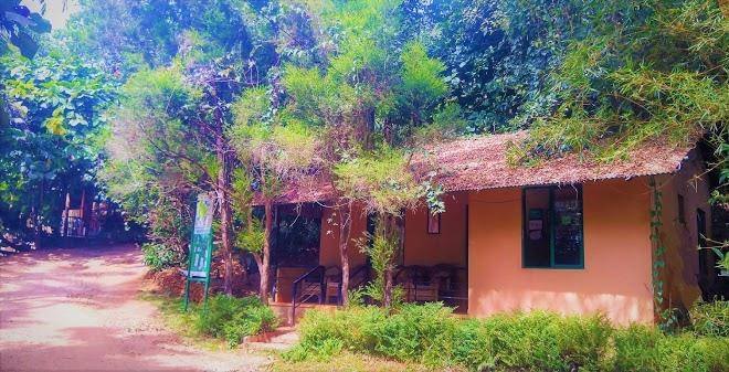 Vythiri greens resort wayanad