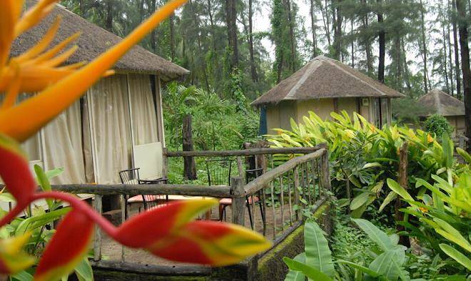Exotica the beach resort