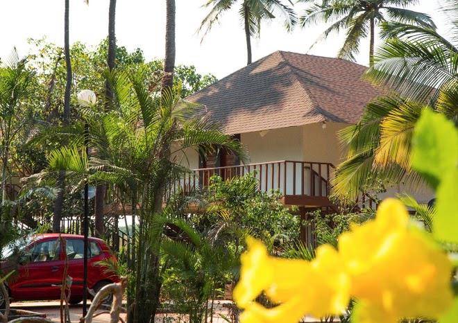 Exotica the sea view