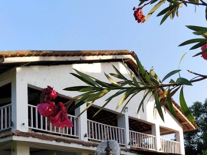 Avisa nila beach resort