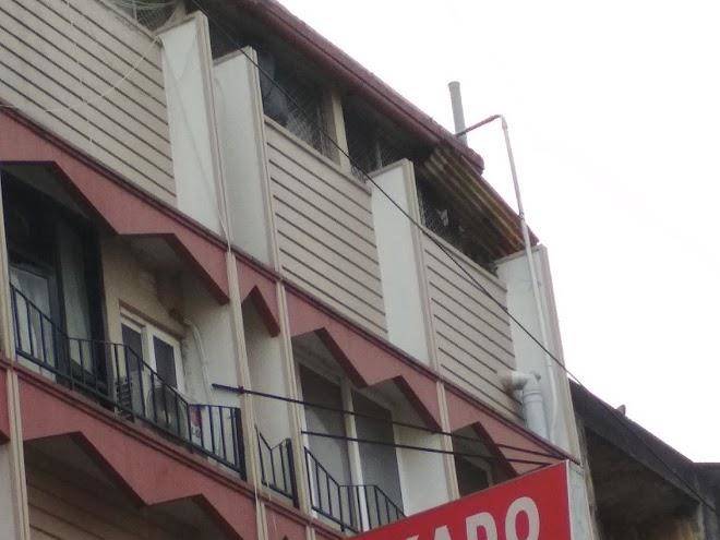 Hotel pine borough