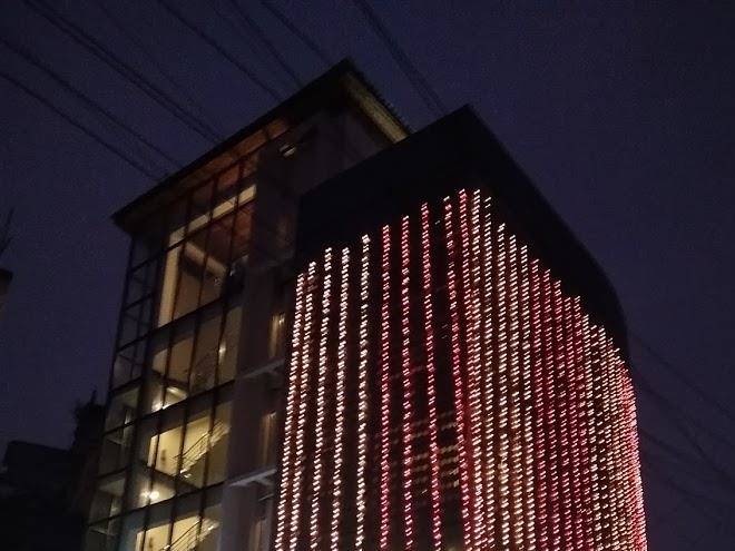 Ladybird Hotel Image