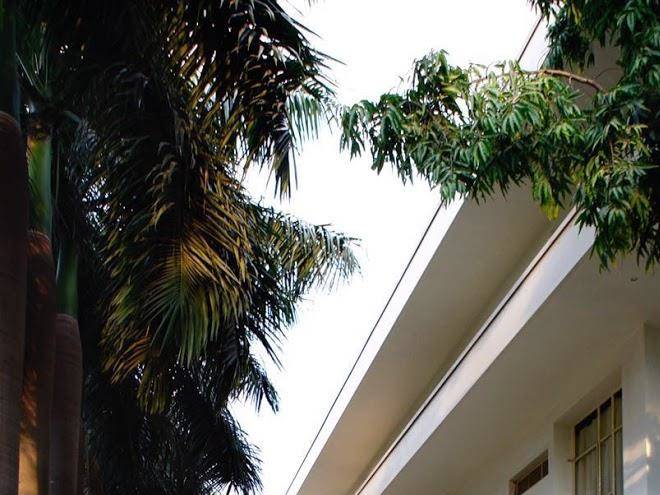 Hotel tragopan