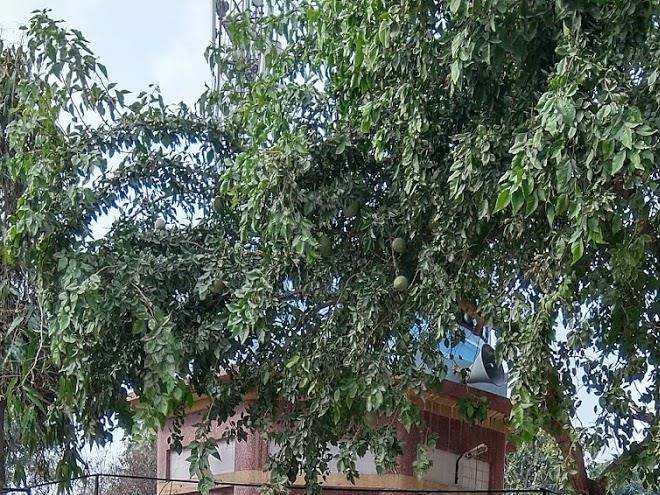 G s yatri niwas hotel