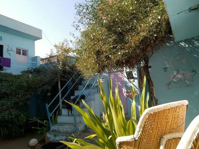 Chacha's garden hotel