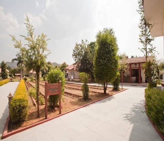 Tiger den resort