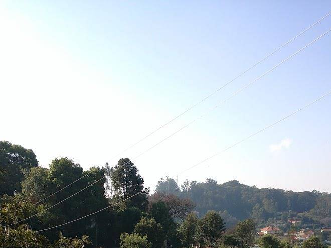 Nilgiris hotels
