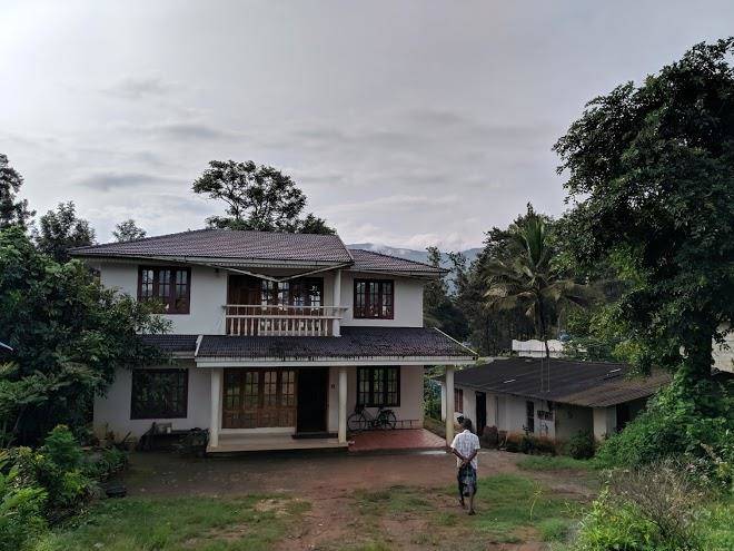 Jungle home