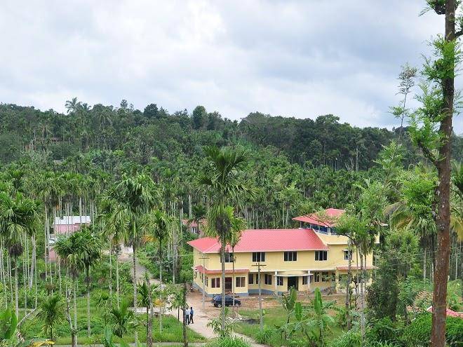 Palm resort