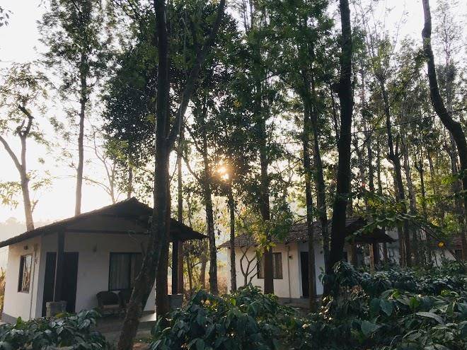 The wilderness resort