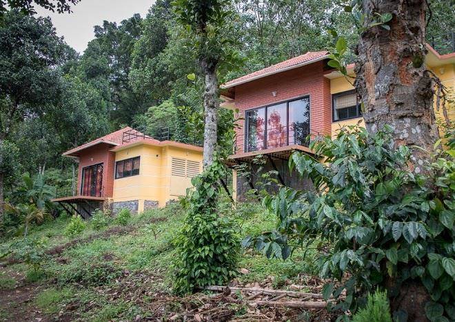 Plumeria eco trails