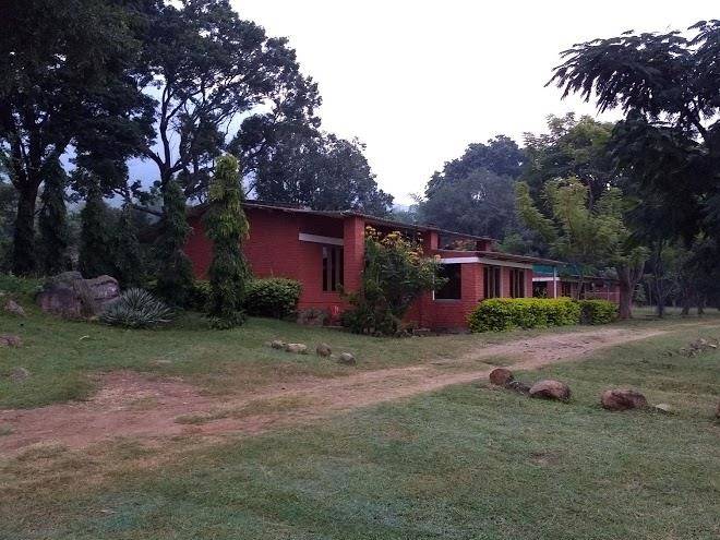 Bear mountain jungle resort