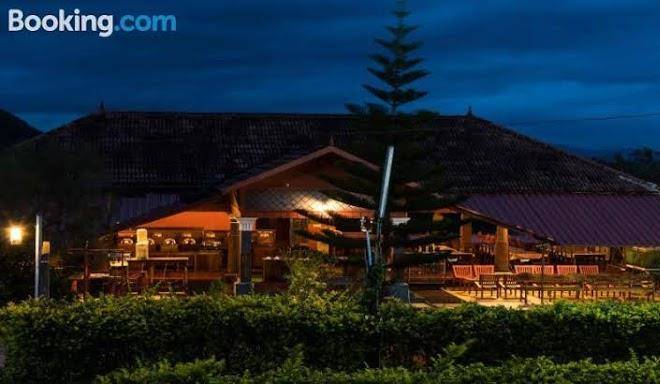 De rock jungle living resort