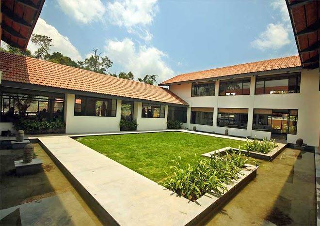 Misty grove resort