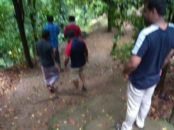 Varam falls