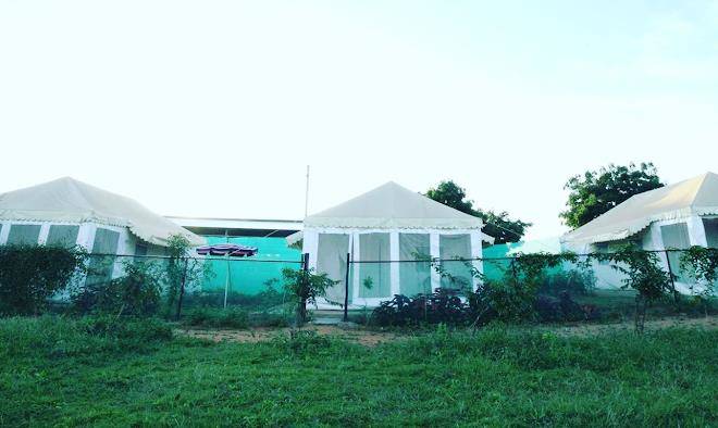 The wild cabana resorts