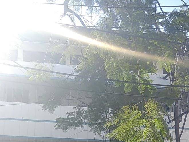 Hotel mayur