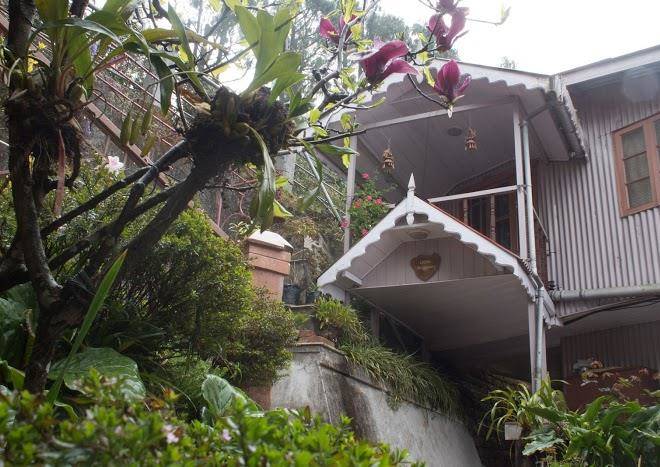 Little singamari home stay