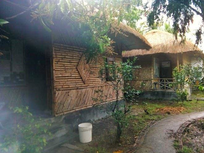 Cnest sundarban
