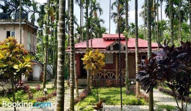 Ayush jungle resort