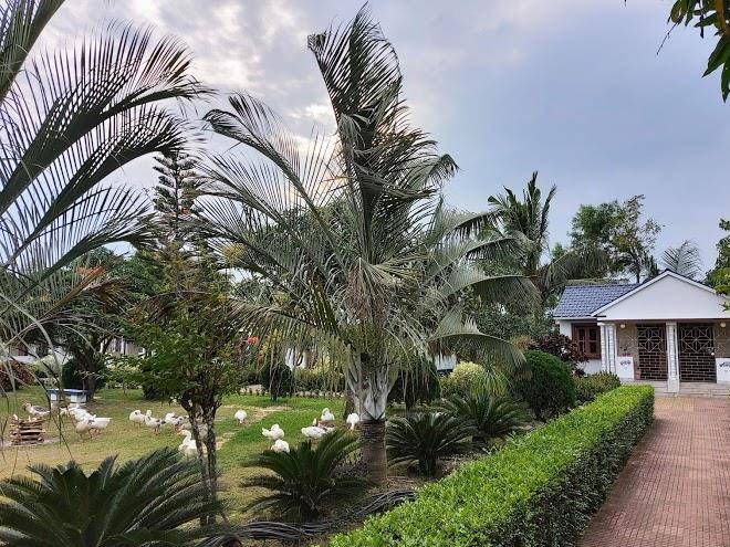 Mallickaa resort