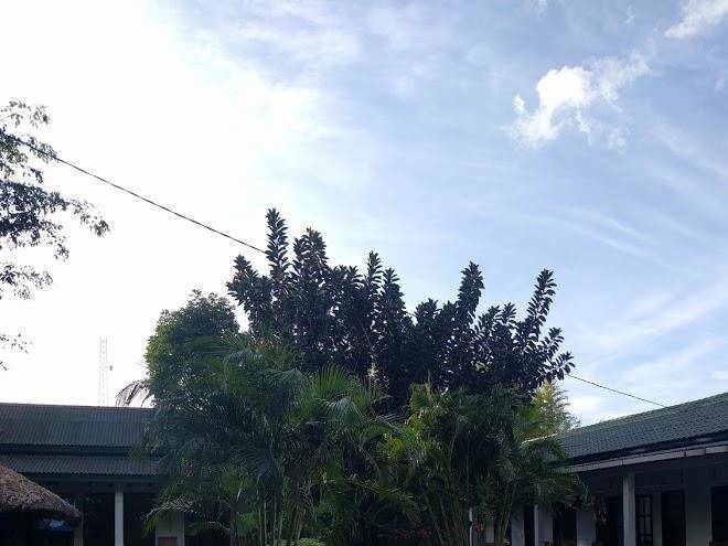 Yudis place