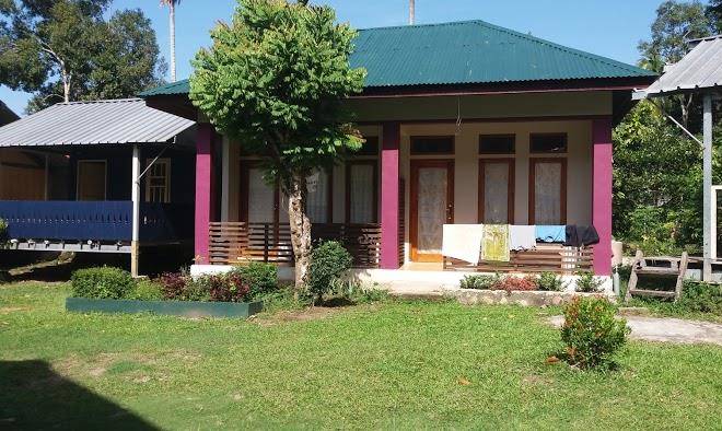 Panorama Seulako Image