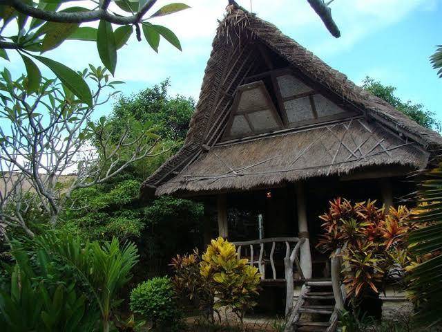 Flower bud bungalow balangan