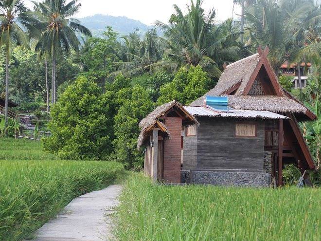 Pondok kunang kunang