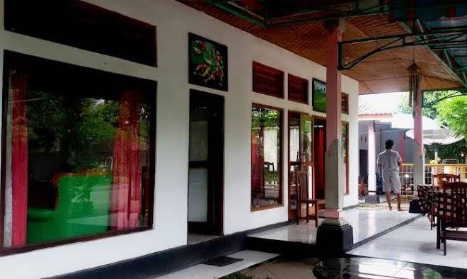 Tourist information menjangan bali
