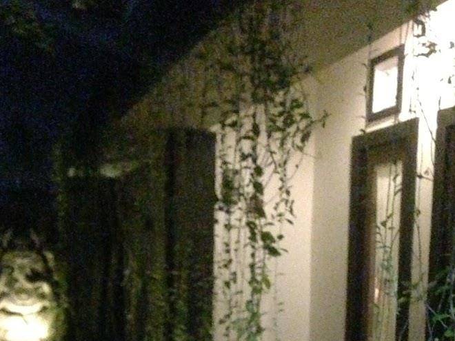 Kost Tedung Agung Image