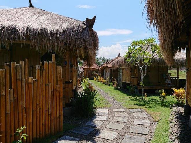 Bali tiger hideaway