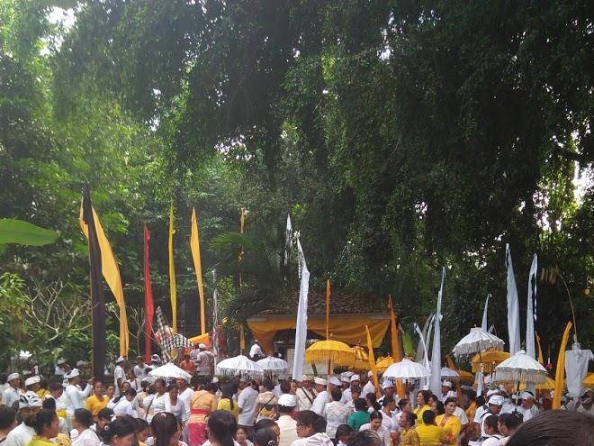 Griya taman sedana