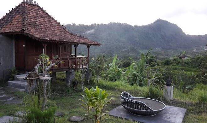 Kubu taru