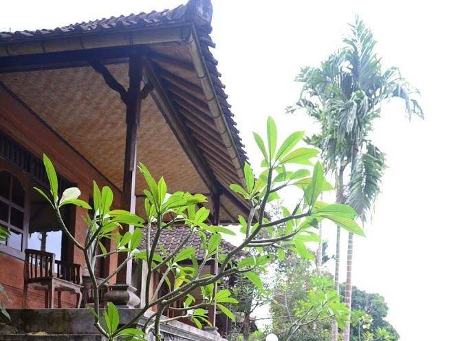 Kusumajaya on the hill