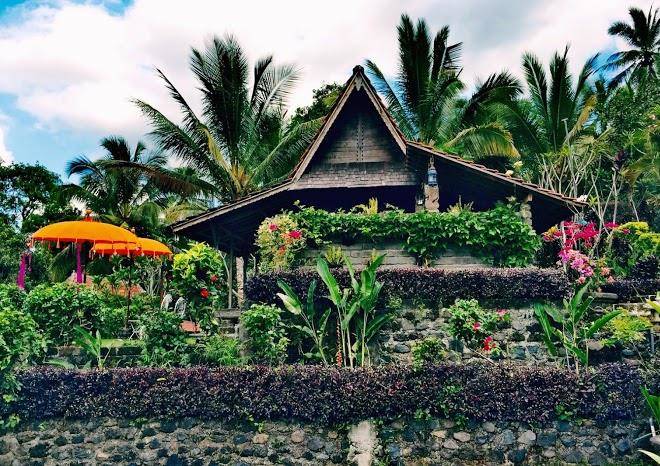 Bali lush