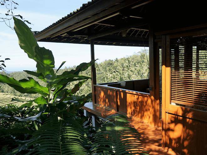 Clove tree hill bali eco retreat