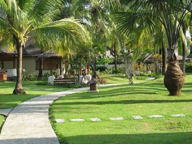 Tanjung lesung
