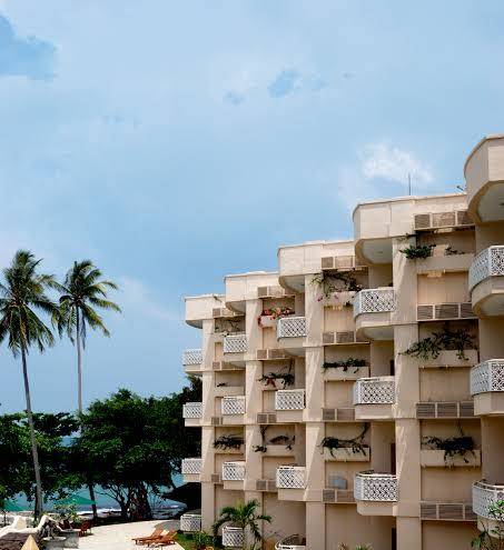 Hawaii resort family suites